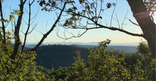 A scenic view of mountains in the distance framed by trees and foliage under a clear sky.