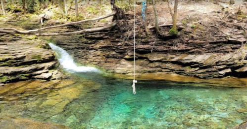 A serene natural pool with clear water, surrounded by rocks and trees, featuring a rope swing hanging nearby.