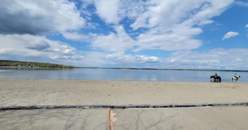 A serene beach scene with a calm lake, sandy shore, and two horses in the distance under a partly cloudy sky.