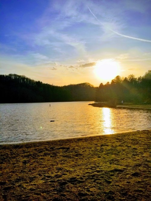 A serene lake at sunset, with golden reflections on the water and trees silhouetted against a colorful sky.
