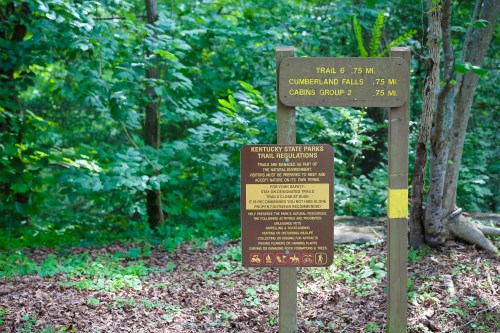 A wooden sign in a forest, displaying trail distances and park regulations for Kentucky State Parks.