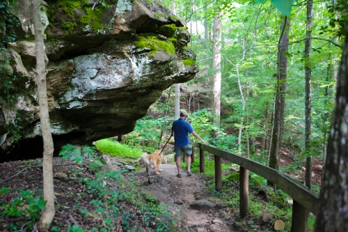 A person walks a dog along a forest path beside a large rock formation and lush greenery.
