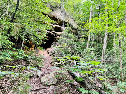 A forested path leads to a rocky cave entrance, surrounded by lush green foliage and trees.