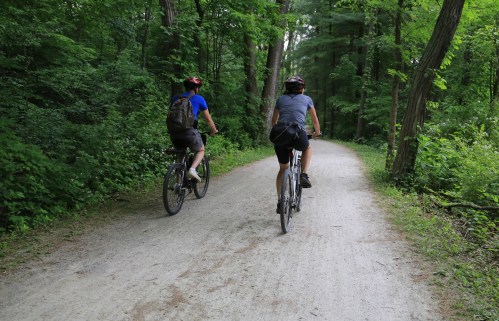 Two cyclists ride on a gravel path through a lush green forest.