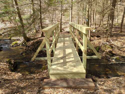 A wooden footbridge spans a small stream in a wooded area, surrounded by trees and fallen leaves.