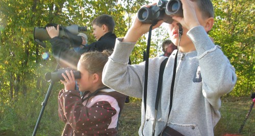 Children and adults using binoculars outdoors, observing nature in a wooded area. Sunlight filters through the trees.