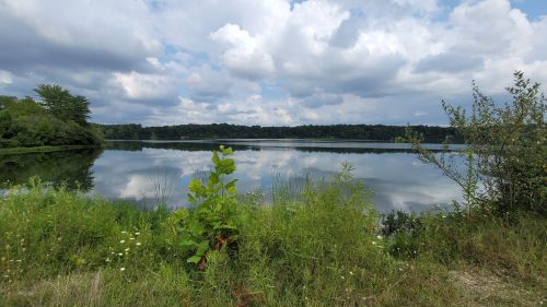A serene lake surrounded by greenery, reflecting clouds and trees under a partly cloudy sky.