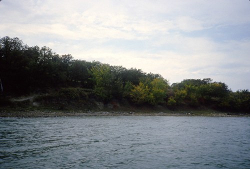 A serene lakeside view with trees in autumn colors and a cloudy sky above.