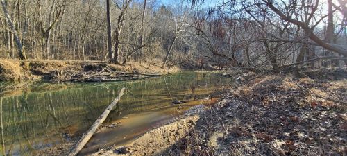 A serene river scene surrounded by bare trees and fallen branches, reflecting the clear blue sky.