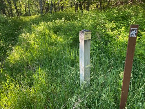 A grassy trail with two markers: one wooden post labeled "Nature Trail" and a metal sign indicating hiking.