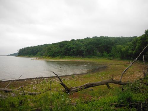 A serene lakeside view with a grassy shore, scattered rocks, and a forested hillside under a cloudy sky.