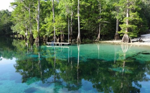 A serene view of Morrison Springs in Walton County, Florida, featuring clear water and lush green trees.