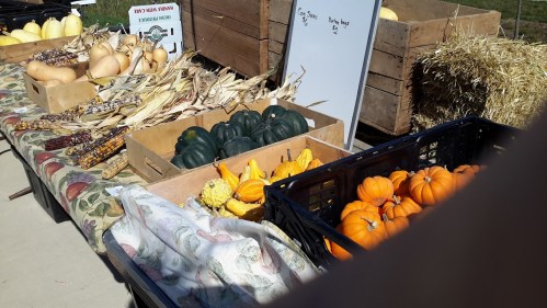 A market table displays various pumpkins, squash, and corn, with wooden crates and a straw bale in the background.