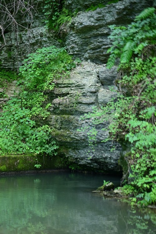 A serene natural scene featuring a rocky cliff covered in greenery, reflecting in calm water below.