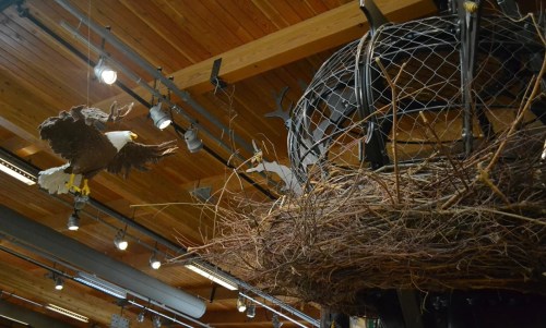 A large bird's nest made of twigs hangs from the ceiling, with a bird sculpture flying nearby in a wooden interior.