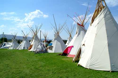 A row of white teepees on a grassy field under a blue sky with scattered clouds.