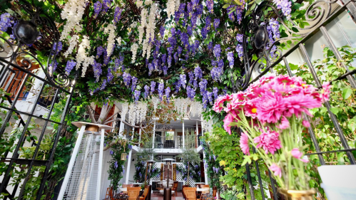 A charming outdoor space adorned with purple flowers and greenery, featuring wooden seating and vibrant pink blooms in the foreground.