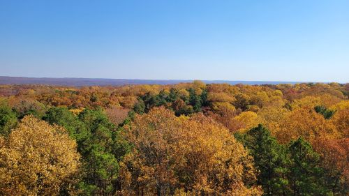 A vibrant autumn landscape with colorful trees under a clear blue sky.