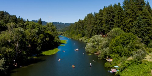 A serene river surrounded by lush greenery, with people kayaking and paddleboarding under a clear blue sky.