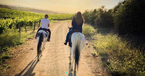 Two people riding horses along a dirt path through a vineyard at sunset.