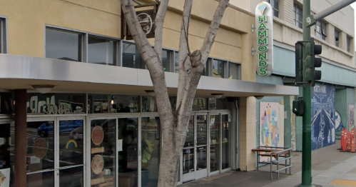 Exterior of Hammonds restaurant with large windows, a tree in front, and a green traffic light nearby.