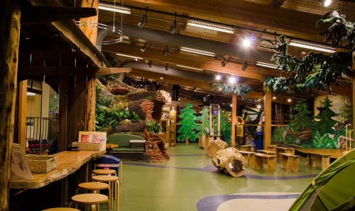 Indoor play area designed like a forest, featuring wooden structures, greenery, and seating for children.