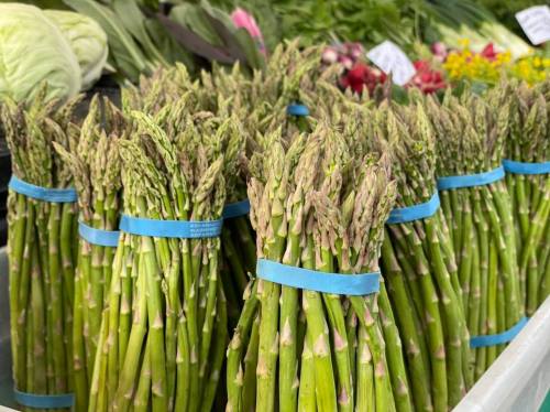 Bunches of fresh asparagus tied with blue bands, displayed at a market among various green vegetables.