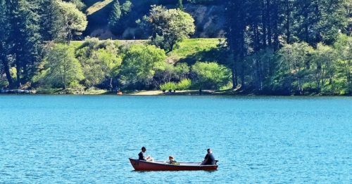 Two people and a dog in a small boat on a serene blue lake, surrounded by lush greenery and trees.