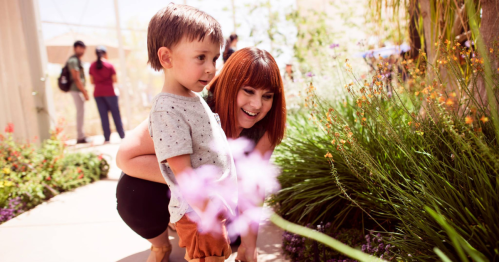 A woman and a young boy admire flowers in a garden, surrounded by greenery and colorful blooms.