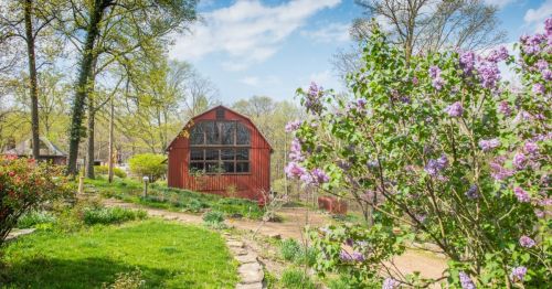 A red barn surrounded by lush greenery and blooming lilacs under a blue sky with scattered clouds.