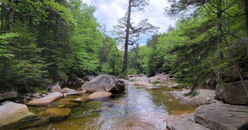 A serene river flows through a lush green forest, with large rocks lining the banks under a partly cloudy sky.