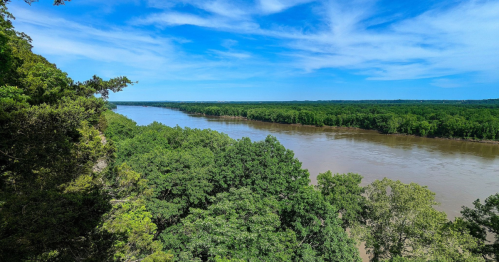 A scenic view of a river winding through lush green trees under a bright blue sky.