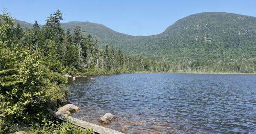 A serene lake surrounded by lush green trees and mountains under a clear blue sky.