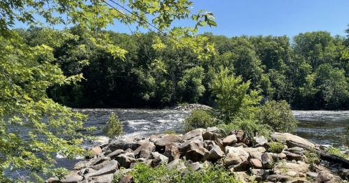 A serene river scene with rocky banks, surrounded by lush green trees under a clear blue sky.