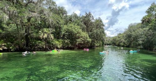 A serene river scene with people floating on colorful tubes among lush greenery and clear water under a bright sky.