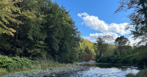 A serene river flows through a lush green landscape under a blue sky with scattered clouds.
