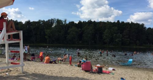 A sandy beach with people swimming and relaxing by the water, surrounded by trees and a clear blue sky.