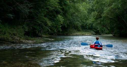 A person in a red kayak paddles down a serene river surrounded by lush green trees.