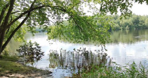 A serene lakeside scene with lush green trees reflecting in calm water under a clear sky.
