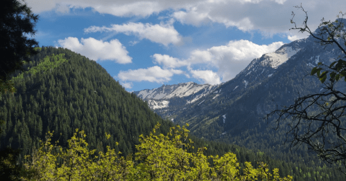 A scenic view of mountains with snow-capped peaks, lush green forests, and a blue sky with fluffy clouds.