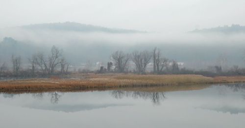 A misty landscape with trees and reeds reflected in a calm lake, surrounded by fog-covered hills.