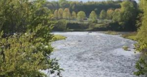 A serene river flows through a lush green landscape with trees lining the banks under a clear blue sky.