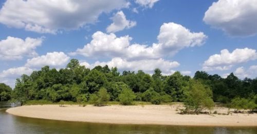 A serene riverbank with sandy shores, lush green trees, and a bright blue sky filled with fluffy white clouds.