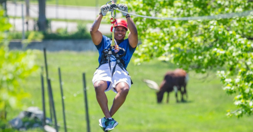 A person in a harness zip-lining through a green landscape with trees and a cow in the background.