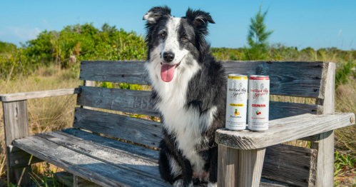 A happy dog sits on a wooden bench beside two colorful beverage cans in a sunny outdoor setting.