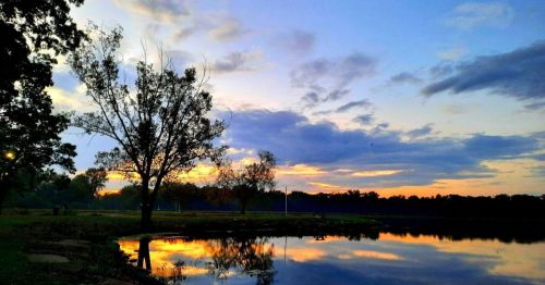 A serene lakeside scene at sunset, with trees silhouetted against a colorful sky and reflections on the water.