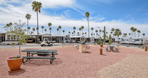A sunny RV park with palm trees, picnic tables, and a golf cart, surrounded by mobile homes and blue skies.