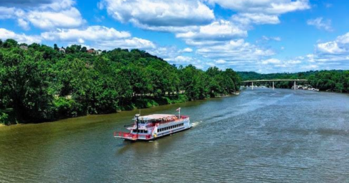 A riverboat cruises along a calm river surrounded by lush greenery and a blue sky with fluffy clouds.
