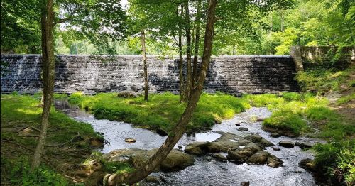 A serene landscape featuring a stone dam, flowing stream, and lush greenery under bright sunlight.