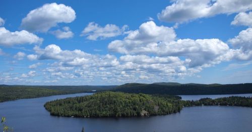 A scenic view of a lake surrounded by lush green forests and fluffy clouds in a bright blue sky.